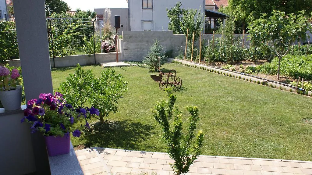 Apartments Nika Zadar 0*,